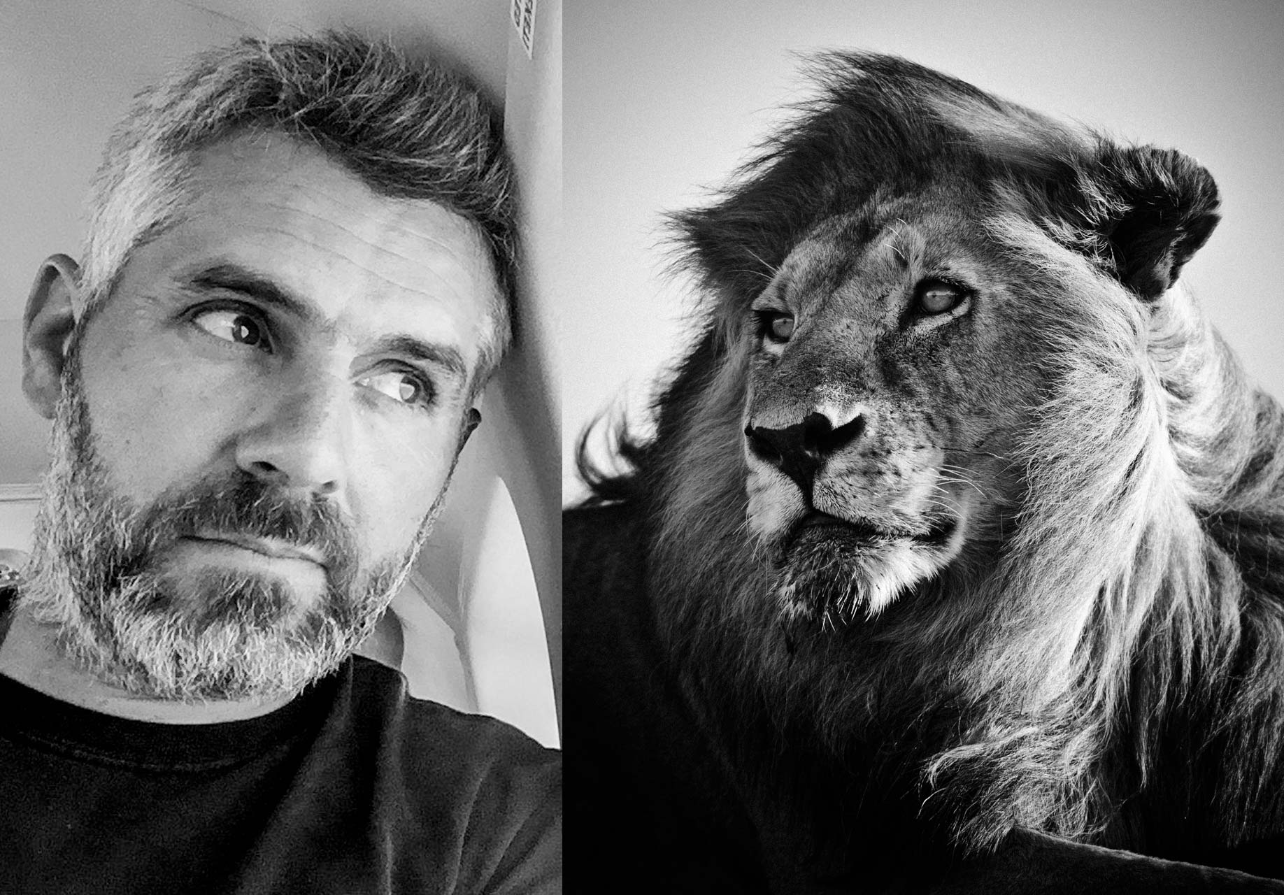 Portrait-Laurent Baheux and Lion