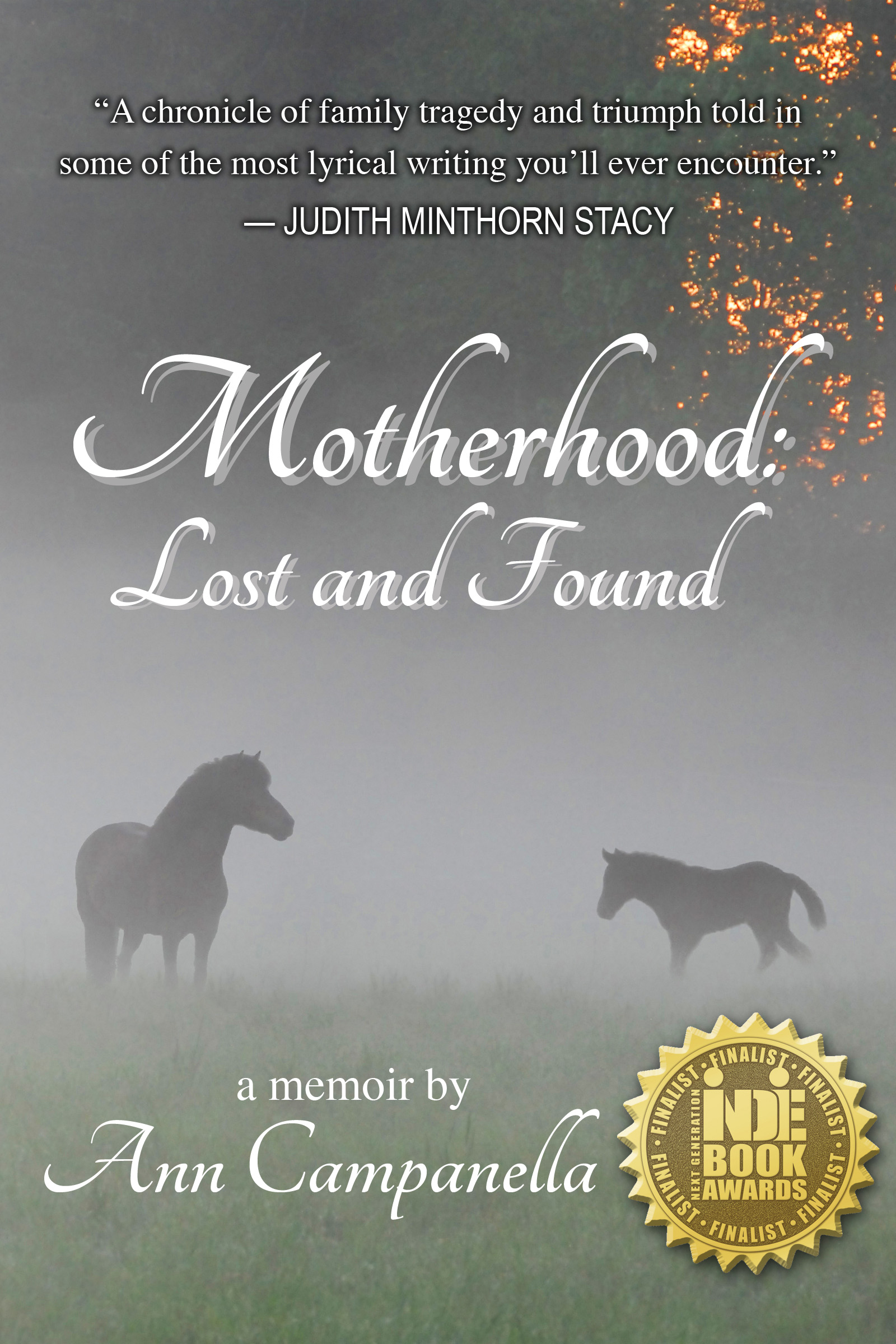 Motherhood: Lost and Found(Book Cover)