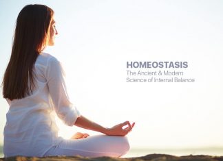 Homeostasis-The-Ancient-and-Modern-Science-of-Internal-Balance