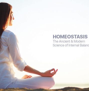 Homeostasis-The-Ancient-and-Modern-Science-of-Internal-Balance