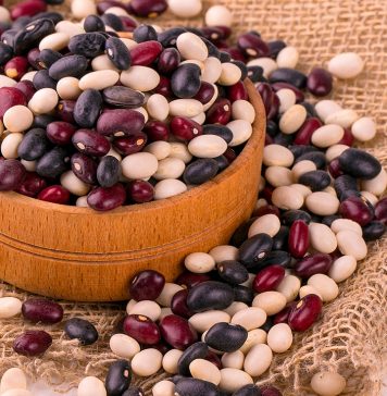 Macrobiotics: An Alternative Healing System | John Muzhuthettu