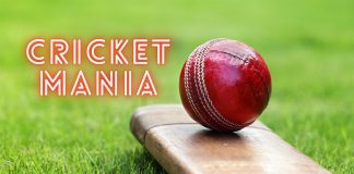 Cricket Mania Gourmet Food Delivered at your Doorstep