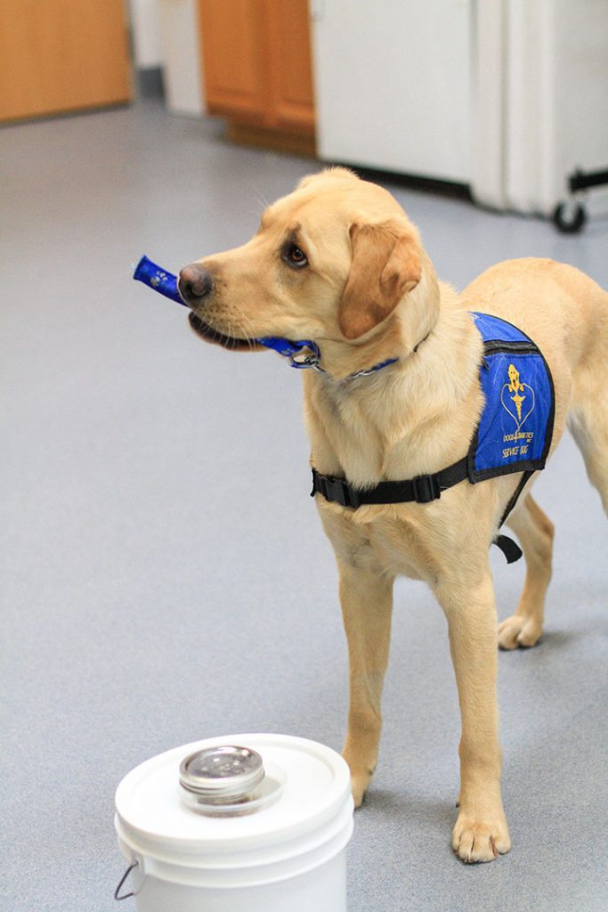 The Right Stuff: The Making of the First Diabetic Alert Dog Program