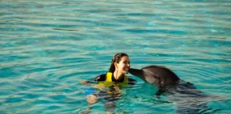 Atlantis The Palm’s Marine Experiences Will Have You Wanting For More! Atlantis The Palm’s marine experiences