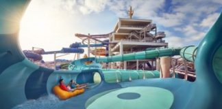 500_aquaventurewaterpark-tridenttower-medusa039slair-couples