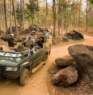 This World Wildlife Day, Discover the Secrets Of The Jungle With Taj Safaris THIS WORLD WILDLIFE DAY, DISCOVER THE SECRETS OF THE JUNGLE WITH TAJ SAFARIS