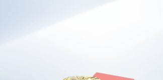 Christie’s Presents The Red Cross Diamond – Geneva Magnificent Jewels – 11 May 2022