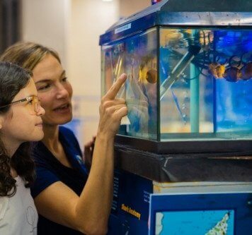 This Shark Week, Dive Into A Fin-credible Frenzy Of Activities At Atlantis, The Palm