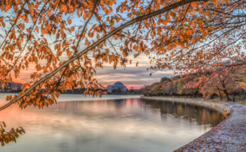 Autumn in the Capital: Fall Foliage, Cultural Festivals, and Halloween Traditions