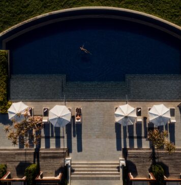 Shamwari Private Game Reserve Joins Rare Finds by Kerzner International