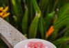 A Viral Dessert, Reimagined: Rose Jalebi Tres Leches by Maize & Malt in Bangalore Tres Leches