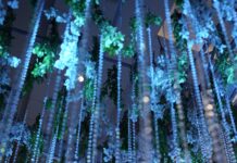 Your Dream Wedding, Elevated by Essentia: Nagpur’s Premier Destination for Timeless Celebrations Essentia Luxury Hotel & Convention, Nagpur
