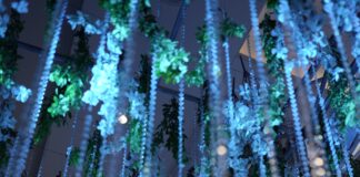 Essentia Luxury Hotel & Convention, Nagpur