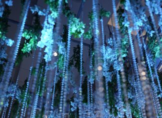 Your Dream Wedding, Elevated by Essentia: Nagpur’s Premier Destination for Timeless Celebrations Essentia Luxury Hotel & Convention, Nagpur