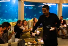 Dining at M6m, the underwater restaurant at OZEN LIFE MAADHOO, Maldives