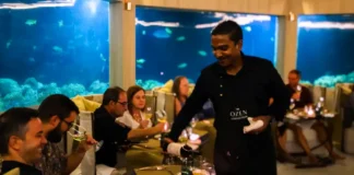 Dining at M6m, the underwater restaurant at OZEN LIFE MAADHOO, Maldives